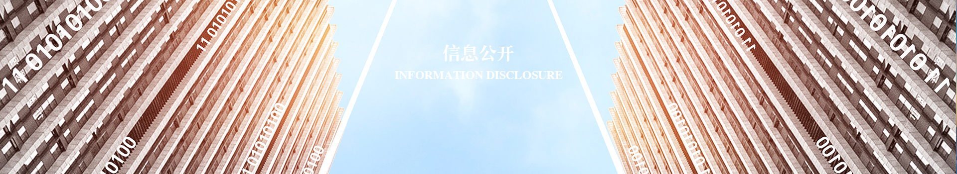 這(zhè)是描述信息